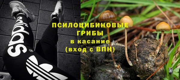 2c-b Алзамай