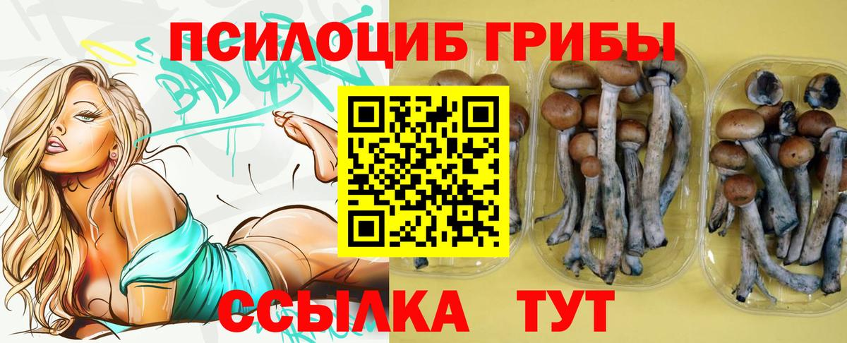 Псилоцибиновые грибы Cubensis Лениногорск